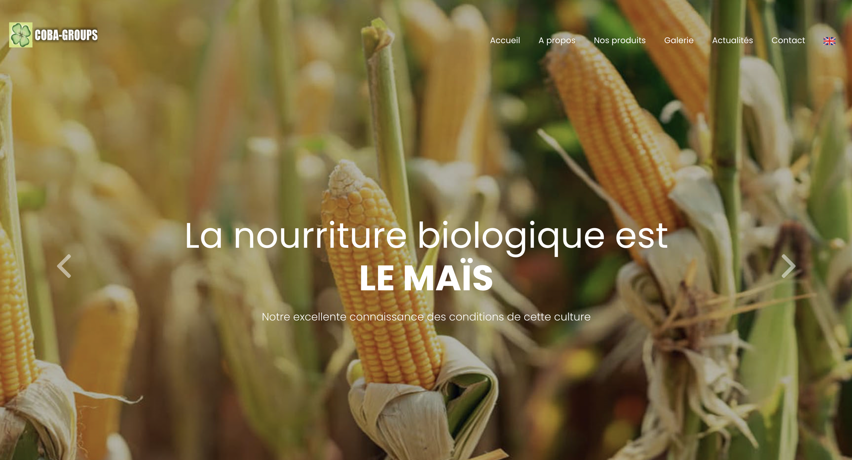 COBA Groups - Gestion Agro-industrielle